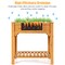 Costway 8 Grids Raised Garden Bed Elevated Planter Box Kit Wood w/Liner & Shelf